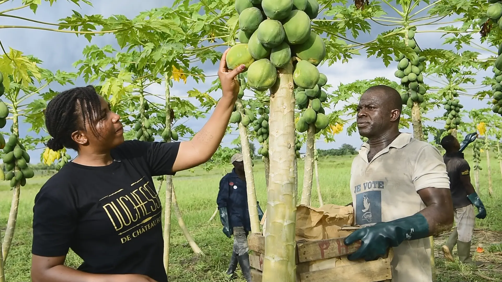 Producteurs de la coopérative Le Cultibaterre sur une exploitation agricole